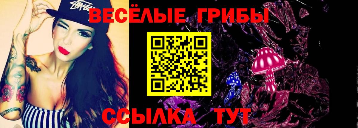 Псилоцибиновые грибы ЛСД Заволжье