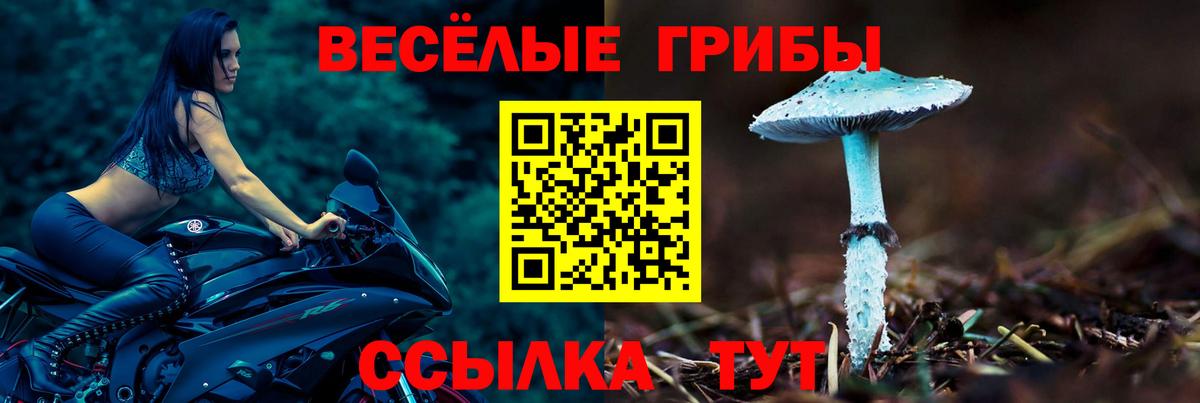Псилоцибиновые грибы прущие грибы  Вход с VPN  Заволжье  Галлюциногенные грибы мицелий 